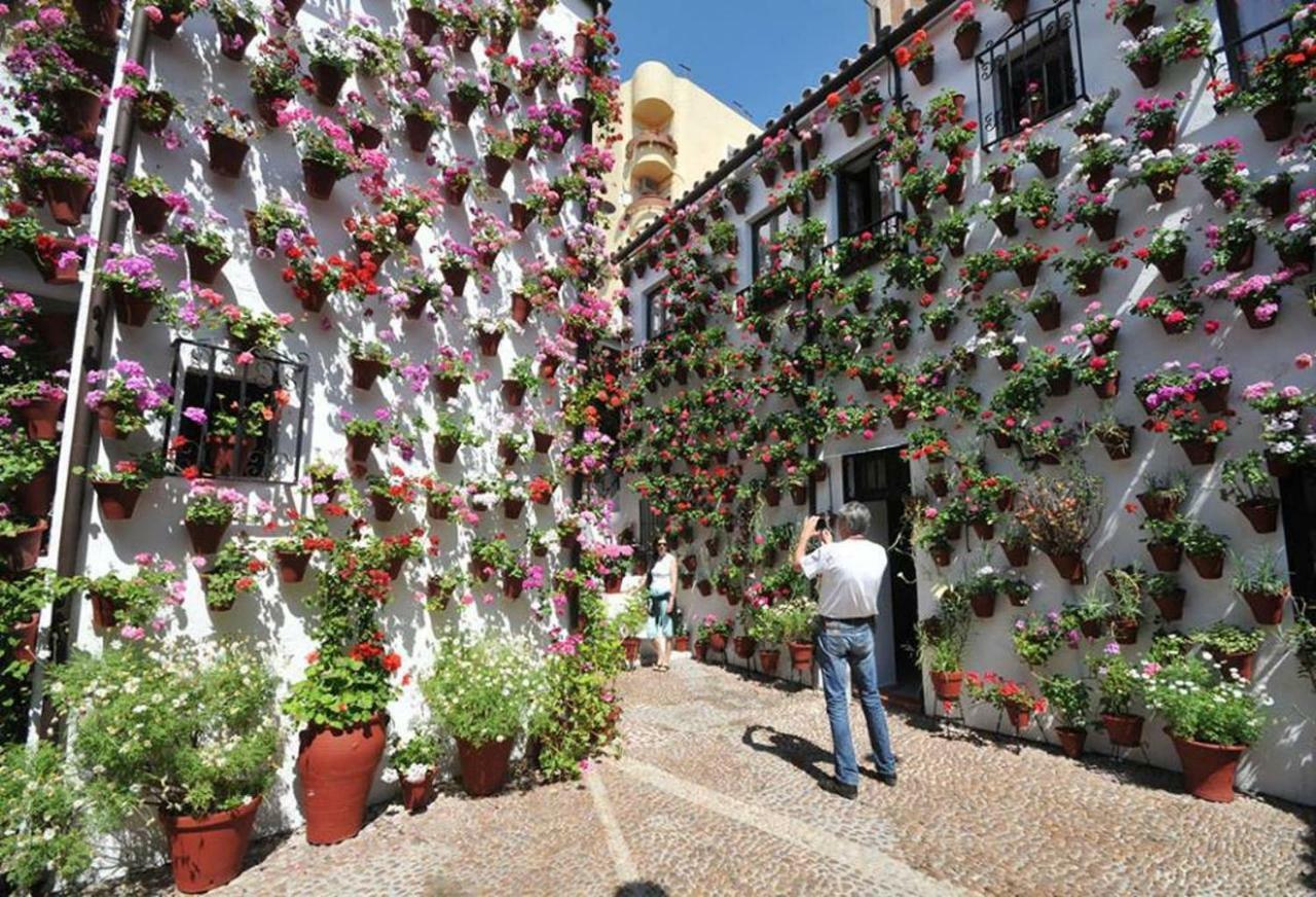 Apartment Centrum Con Parking *